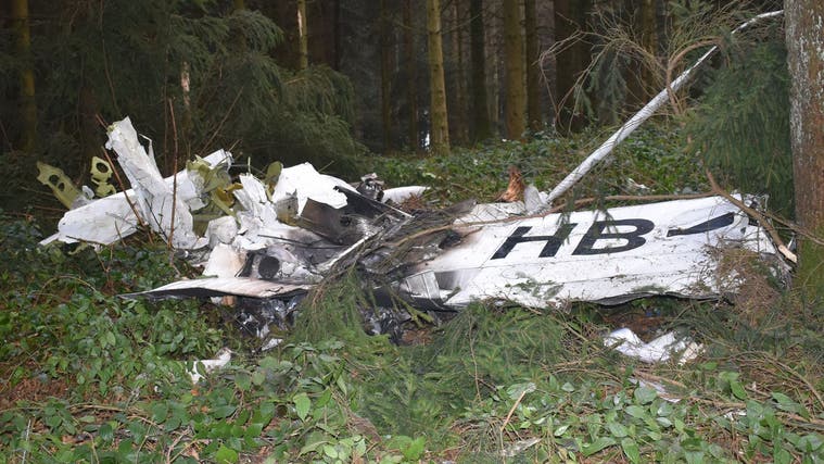 Beim abgestürzten Flugzeug handelte es sich um eine Cessna. (Bild: Luzerner Polizei)