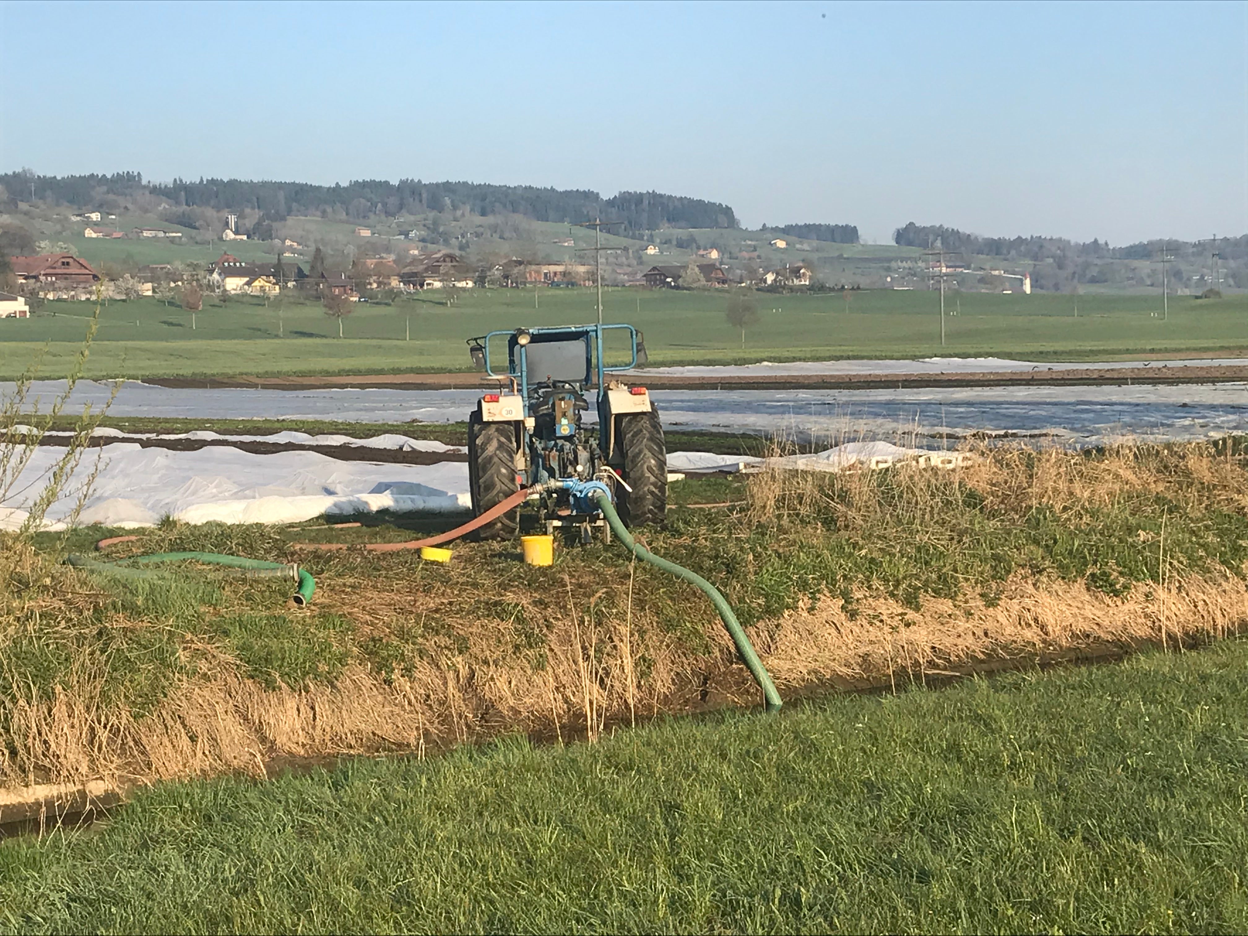 Appell Des Luzerner Fischereiverbandes: «Wasser Abpumpen Ohne ...