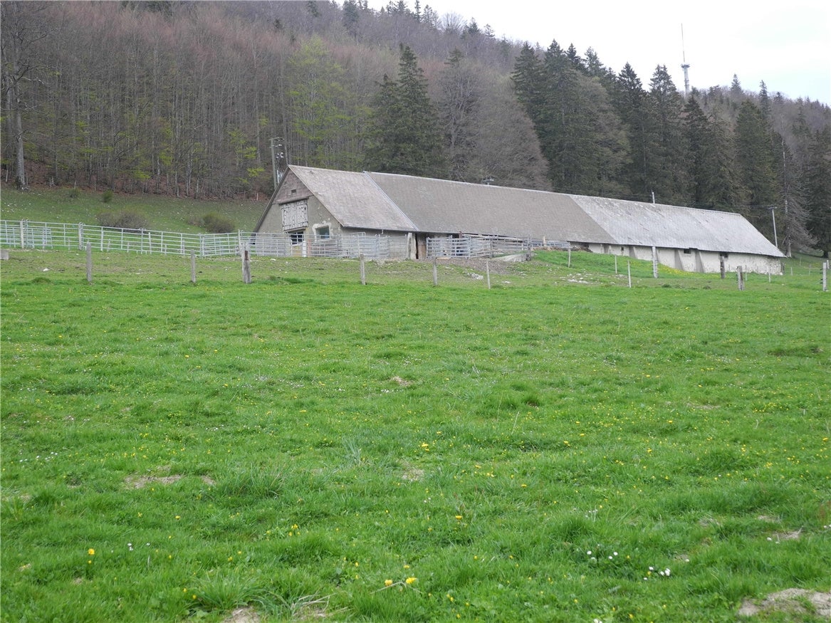 Rumisberg - Die Alpgenossenschaft Hinteregg Investiert In Erneuerbare ...