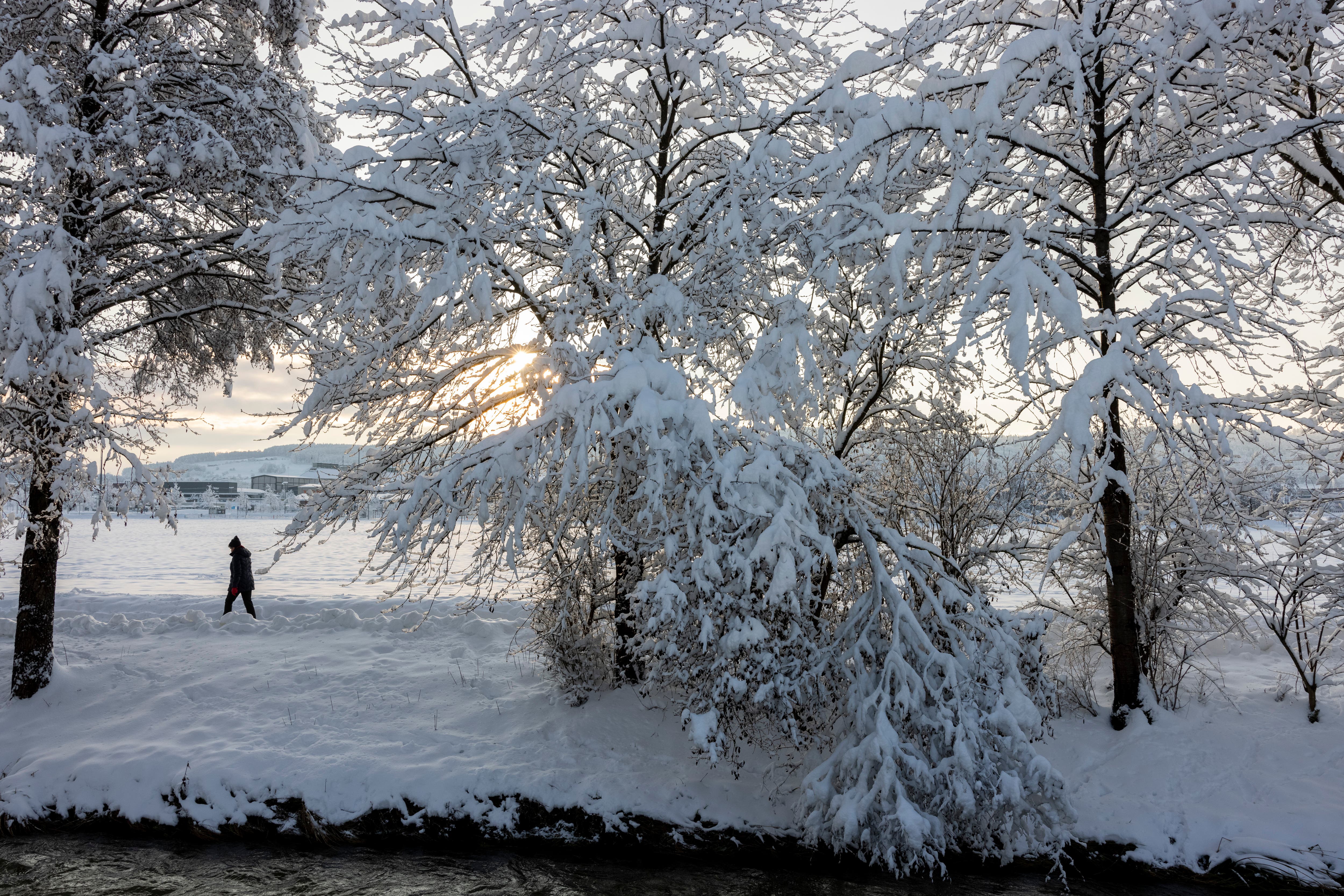 Ein Spaziergänger in der Winterlandschaft bei den Niedermatten in Wohlen.