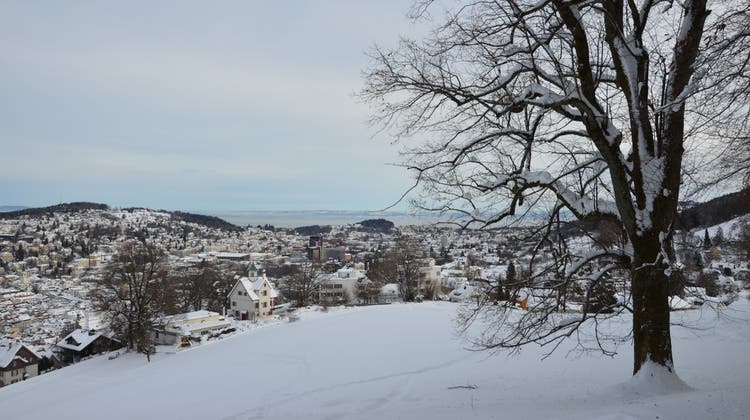 Rundweg durch den Berneggwald: Diese Route bietet eine Aussicht auf die ganze Stadt St.Gallen