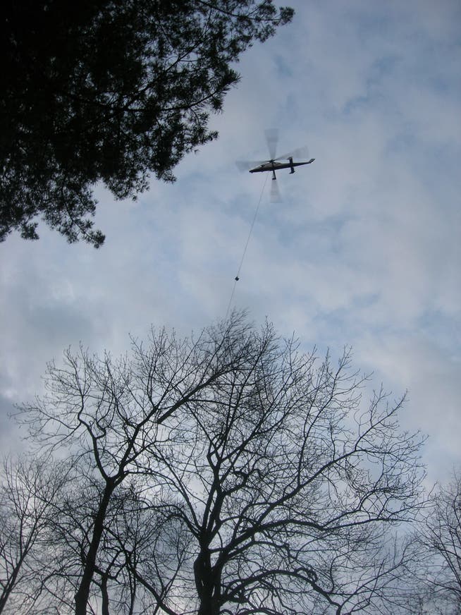 Für Holzschlagarbeiten rund um die Ruine Neu Falkenstein wird ein Helikopter zum Einsatz kommen.