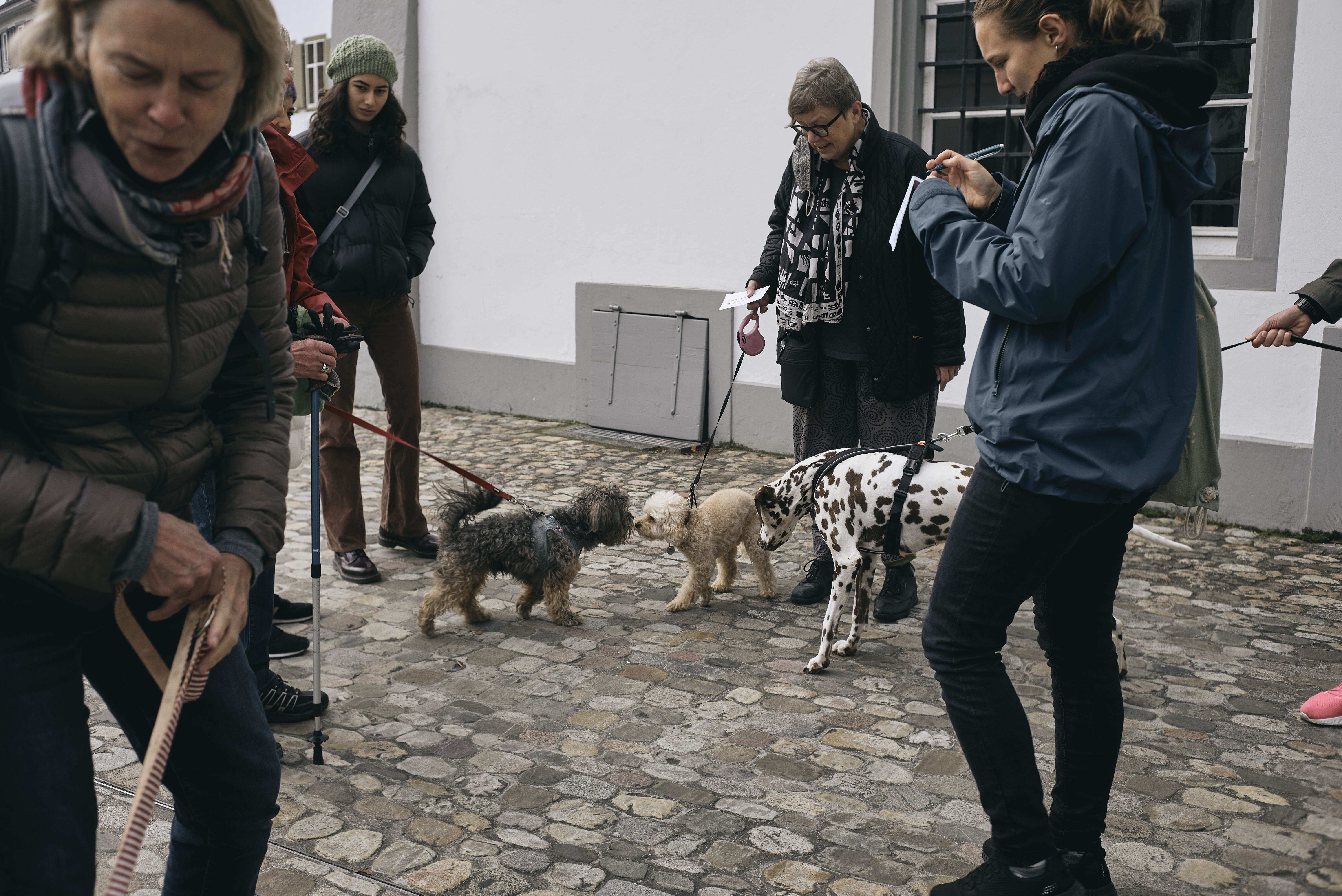 Beim Treffpunkt morgens um 10 Uhr beim Museum der Kulturen galt es erst mal, sich ausgiebig zu beschnuppern. Insgesamt waren vier Hunde bei der Stadtführung dabei. 