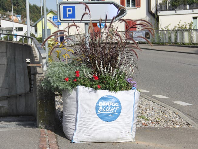 Ein Bigbag «Brugg blüht» mit Blumen im Ortsteil Umiken.