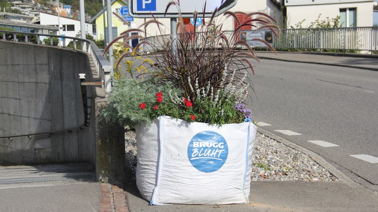Ein Bigbag «Brugg blüht» mit Blumen im Ortsteil Umiken. (Claudia Meier (2. Oktober 2021))