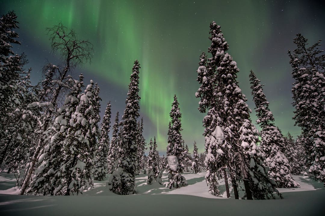 Magische Nordlichter im finnischen Teil Lapplands. 