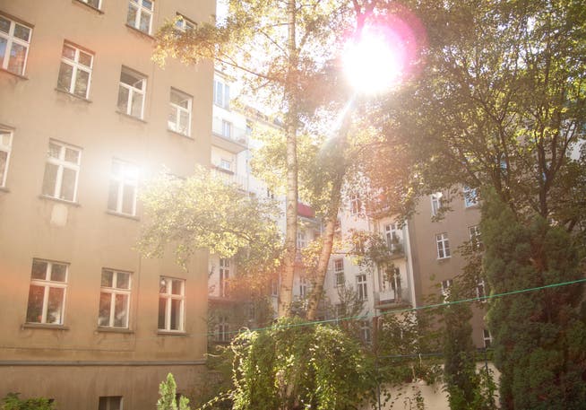 Hier wohnten die Profiteure des Berliner Mietendeckels: Altbauten im Stadtbezirk Prenzlauer Berg. 