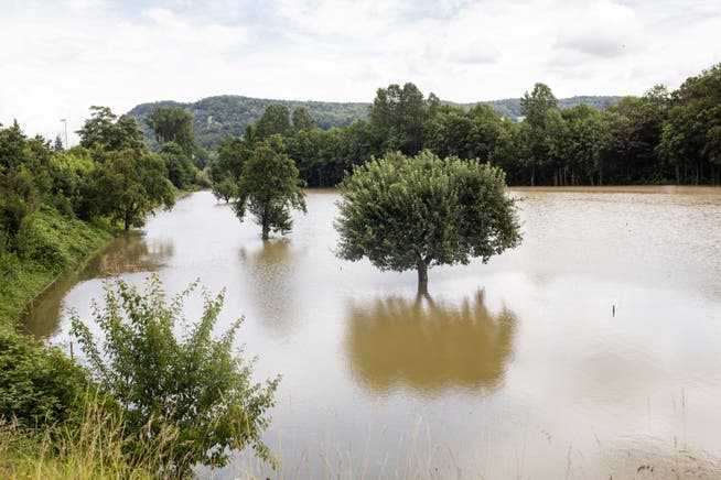 In Lauffohr bei Brugg trat die Aare in Folge des anhaltenden Regens über die Ufer und flutet die Felder. Aufgenommen am 14.07.2021.