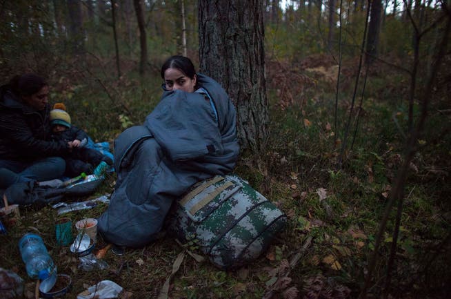 Eine von 15'000: Eine erschöpfte Migrantin friert im weissrussisch-polnischen Grenzgebiet.