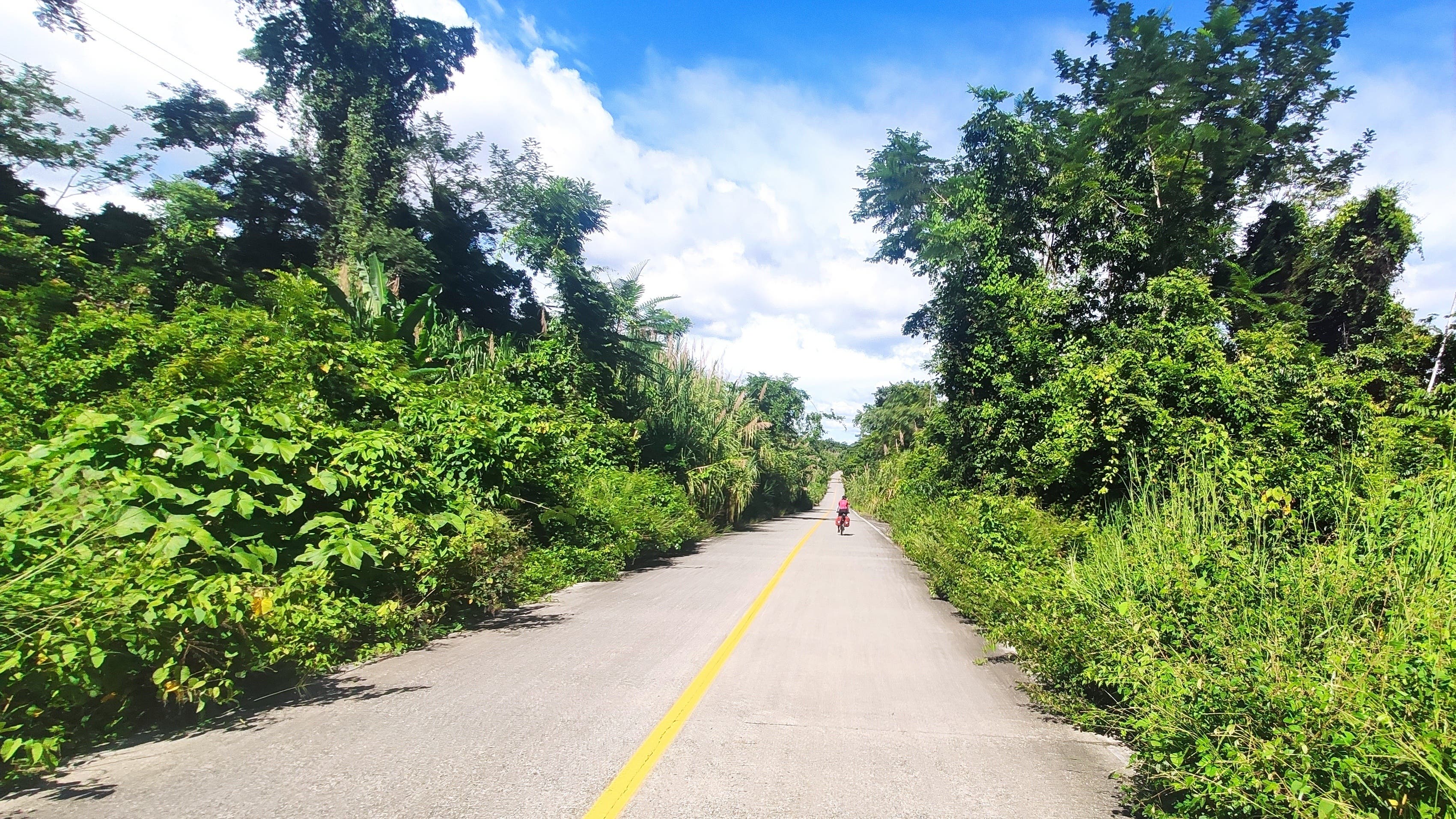 Strasse im Dschungel von Chiapas parallel zur Grenze Guatemalas verlaufend