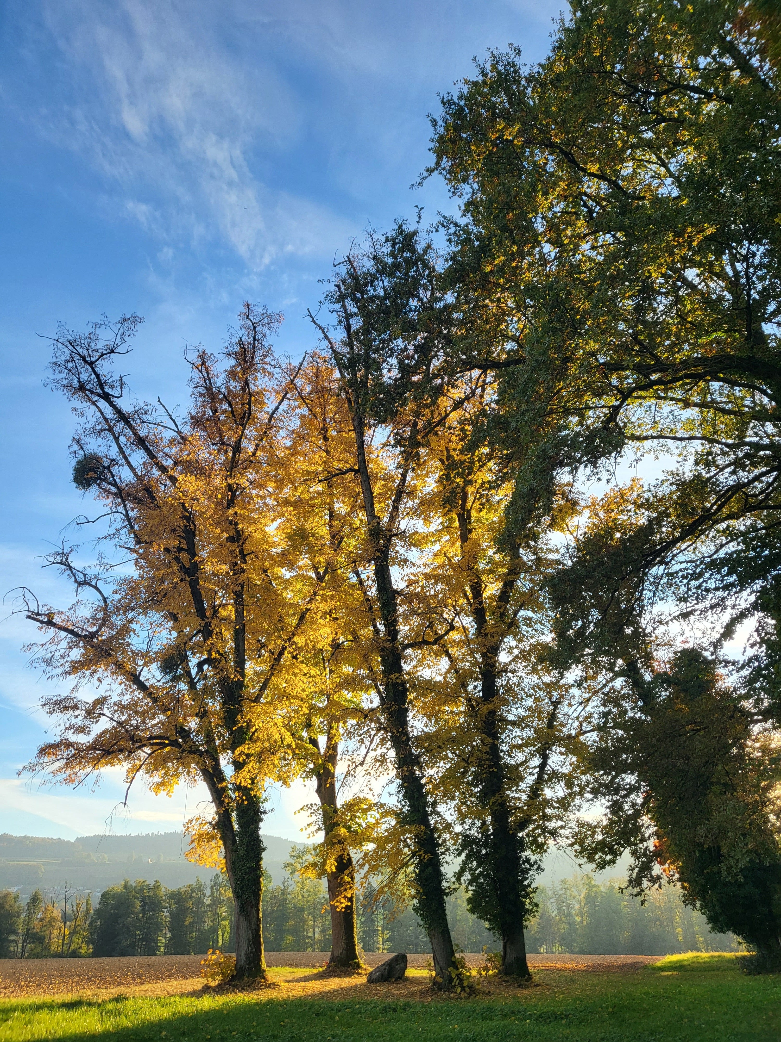 Die schönsten Leserbilder des Kantons Aargau im Herbst 2021