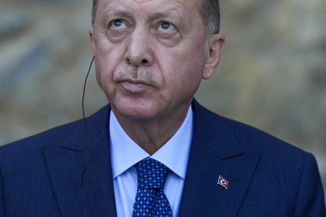 Der Türkische Präsident Erdogan erklärte zehn Botschafter zu unerwünschten Personen. 