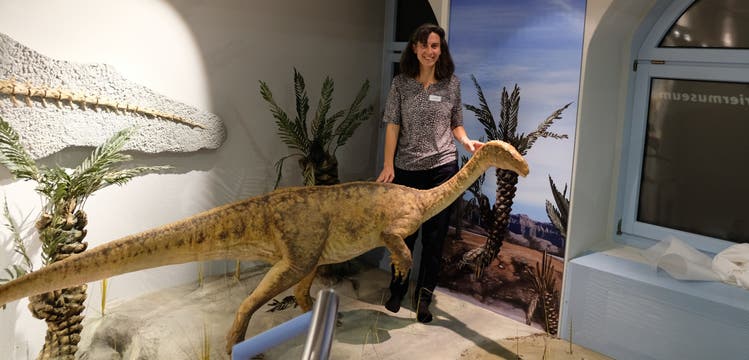 Museumsleiterin Andrea Oettl freut sich über die Enthüllung des neuen Exponats, eines «fast echten» jungen Plateosauriers. 