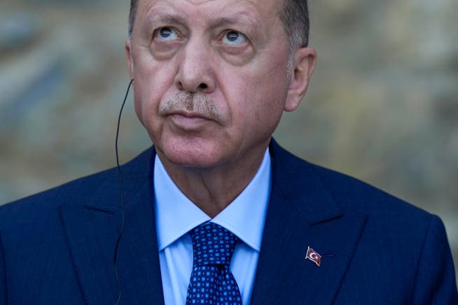 Erdogan wertete zurückhaltende Reaktionen der Botschaften als Einlenken. (Archivbild)