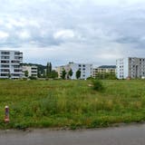 Für die Überbauung des Areals Wurmisweg-West wurden inzwischen zwei Grossbauprojekte lanciert. (Nadine Böni (20. Juni 2019))