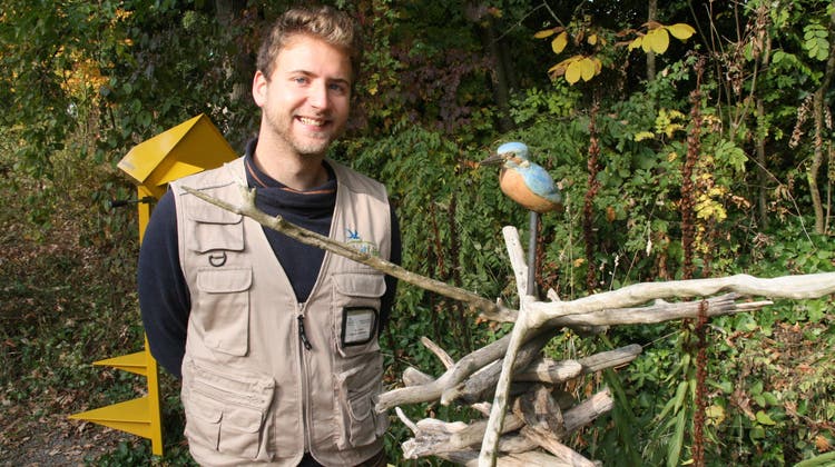 Der überzeugte Mitarbeiter: „Der Klingnauer Stausee ist ein Hot-Spot für die Vögel“, sagt Nic Gehre, Praktikant am Bird­life-Naturzentrum, im Bild mit einem Eisvogel aus Holz. (Peter Schütz, Südkurier)