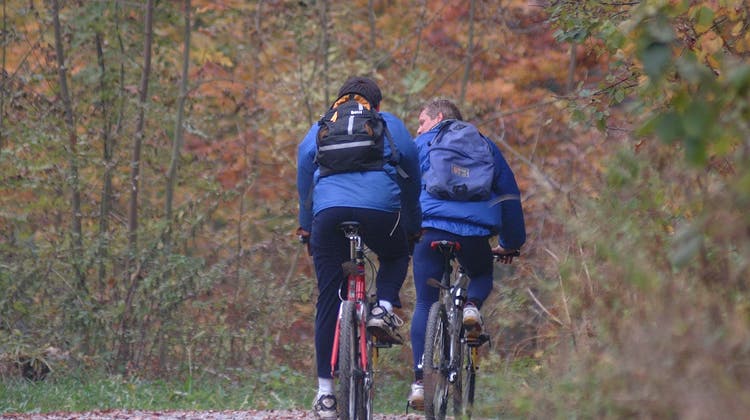 Im Rahmen des Projekts soll Mountainbiking auf wenige ausgewählte, offizielle Trails kanalisiert werden. (Symbolbild: Walter Schwager)