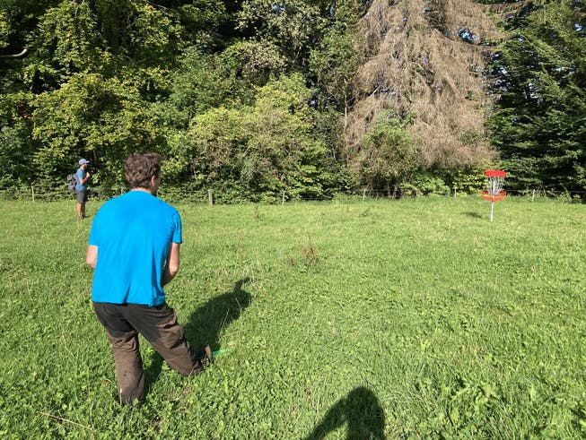 Den Korb rechts im Visier: Am Swisstour-Turnier auf der Felsenegg spielten die Disc-Golfer auf einem temporären Parcours, nun arbeiten die «Voralpen Eagles» an einem permanenten Kurs auf dem Albisbrunn-Areal.