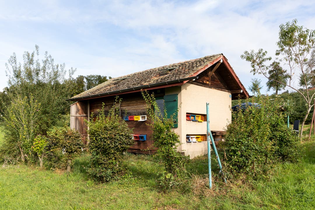 Das Bienenhaus steht auf einem Feld in Uitikon neben dem Weg in Richtung Urdorf.