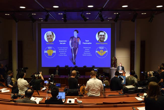 Das Nobelpreis-Komitee in Stockholm gibt die Gewinner des Nobelpreises in Physiologie oderr Medizin bekannt.