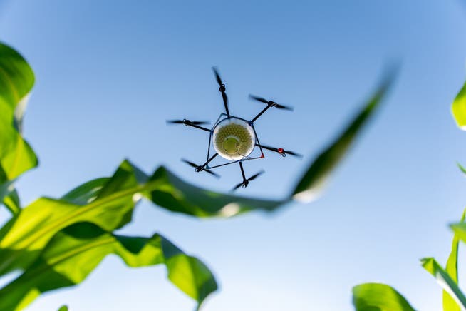 Drohneneinsatz in der Landwirtschaft.