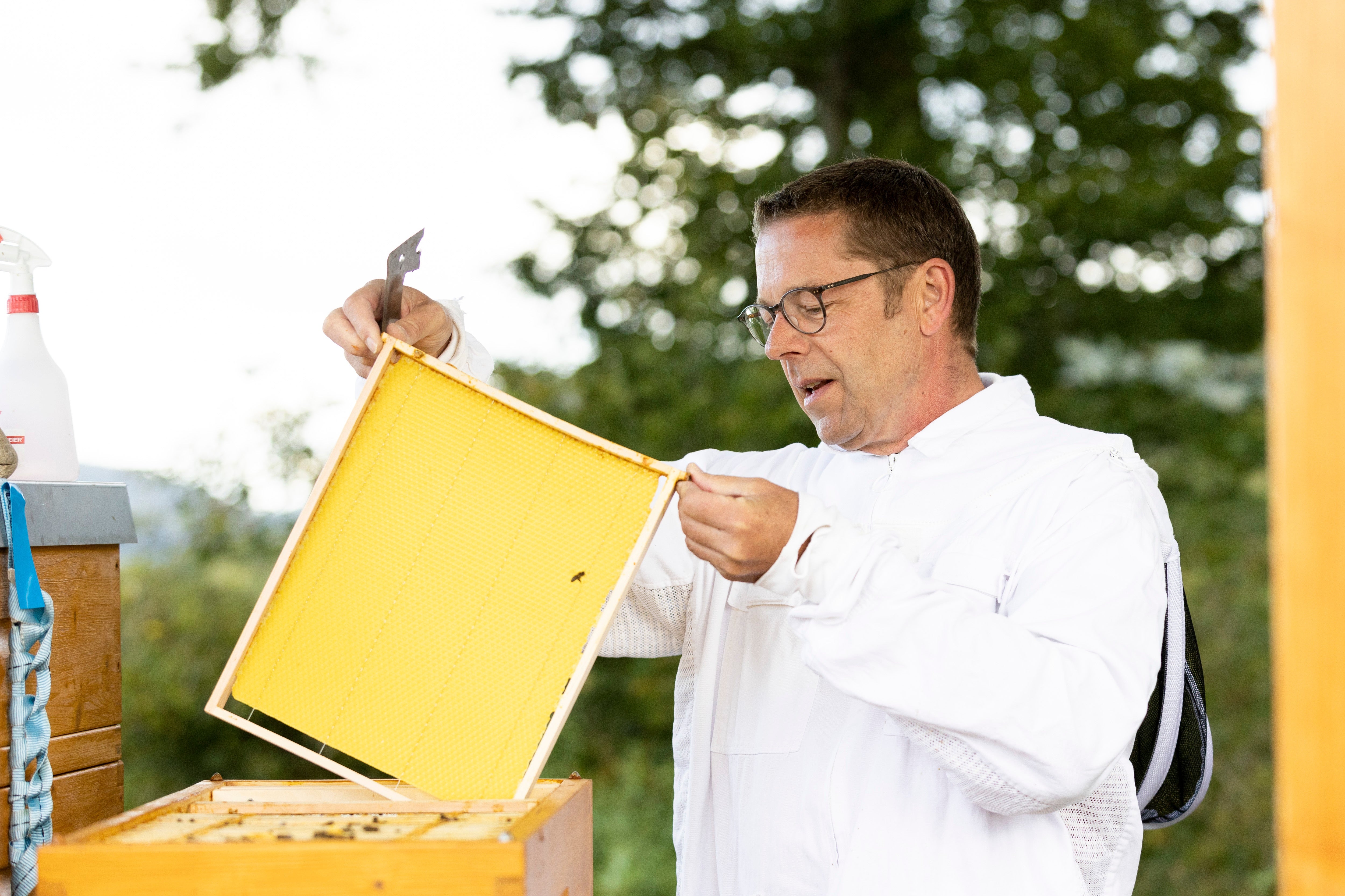 Bienenschwarm Attracture Lure Bienenstock Imkerei Früchte Attraktor Imker 