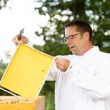 Othmar Frey züchtet Biobienen: Dabei sind ihm die Bienen wichtiger als der Ertrag. (Severin Bigler)