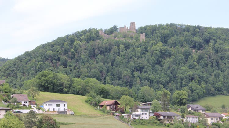 Die Ruine Schenkenberg thront über dem Dorf Thalheim. (Claudia Meier (26. Mai 2020))