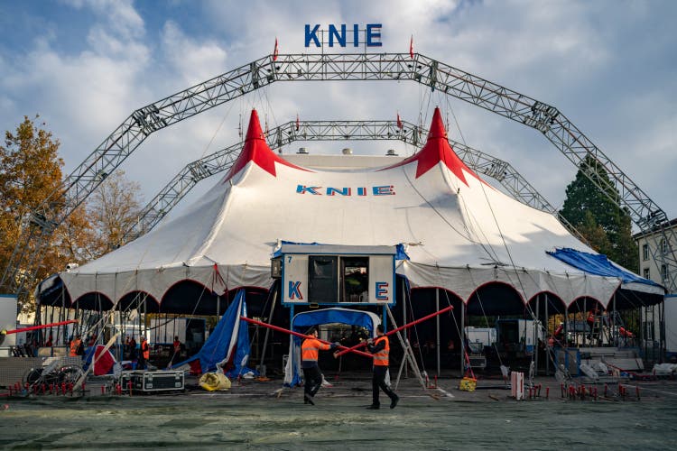 Am Mittwoch wurde das Zelt des Circus Knie aufgebaut, am Freitag ist in St.Gallen Premiere.