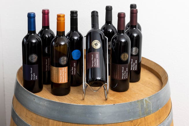 Sämtliche ausgezeichnete Weine von Wetzel, darunter der Pinot noir Classique 2020, der Gewinner der Goldmedaille.