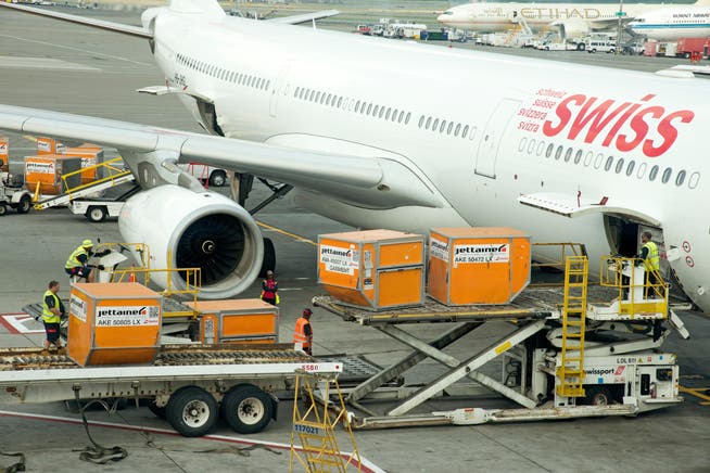 In der Pandemie werden Flugzeuge vermehrt für Cargo-Transporte genutzt - auch jene der Swiss.