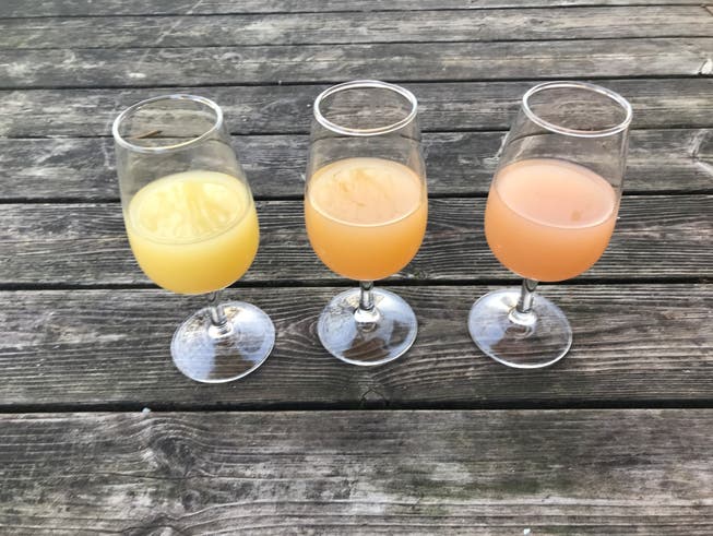 Süssmost ist nicht gleich Süssmost, die Unterschiede in Farbe und Aroma sind je nach Apfelsorte markant. Im Bild drei Bärenmoste aus Revena-, Opal- und Pinova-Äpfeln aus dem Thurgau.