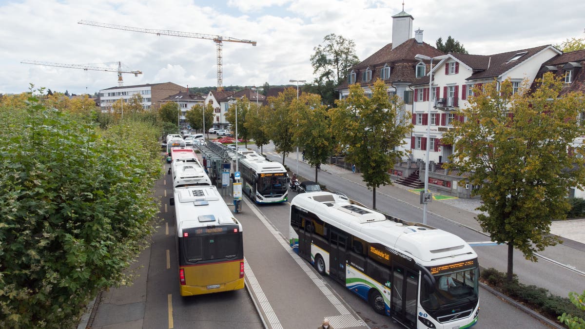 Freie Fahrt mit dem Stadtbus: Neue Idee für Kreuzlingen