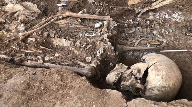 Manche der ausgegrabenen Skelette tragen noch immer Drahtfesseln an ihren Händen: Das Massengrab auf dem Zentralfriedhof von Sevilla ist nur eines von vermutlich rund 1200 anonymen Grabstellen im Land. (Manuel Meyer)