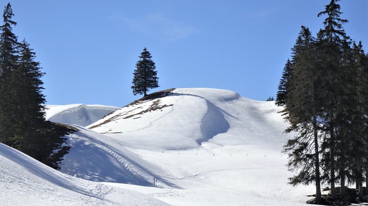 Wintertrekking: Schwarzsee – Gstaad - März 2022