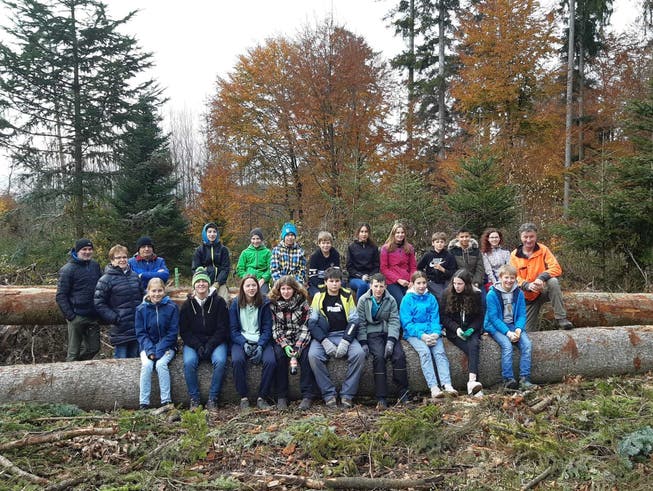 Oberstufenklassen des Oberstufenzentrums Arch waren im Rüttiwald mit dem Förster unterwegs und pflanzten Bäume.