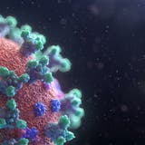 Das Corona-Virus ist mutiert: Bislang ist nur wenig über die neue Omikron-Mutante bekannt. (Bild: Unsplash)