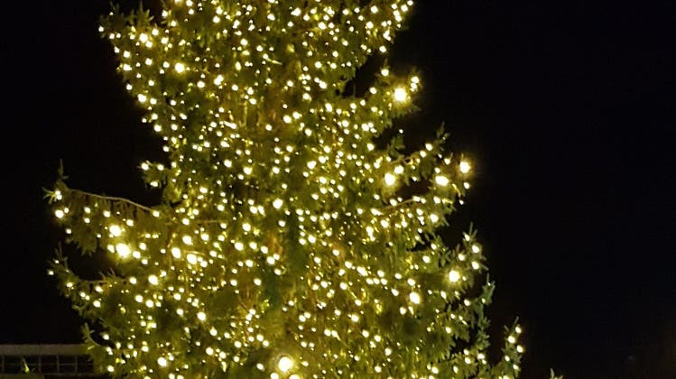 Immmer wieder schön, der Weihnachtsbaum auf dem Dornacherplatz (Ulrich Troesch)