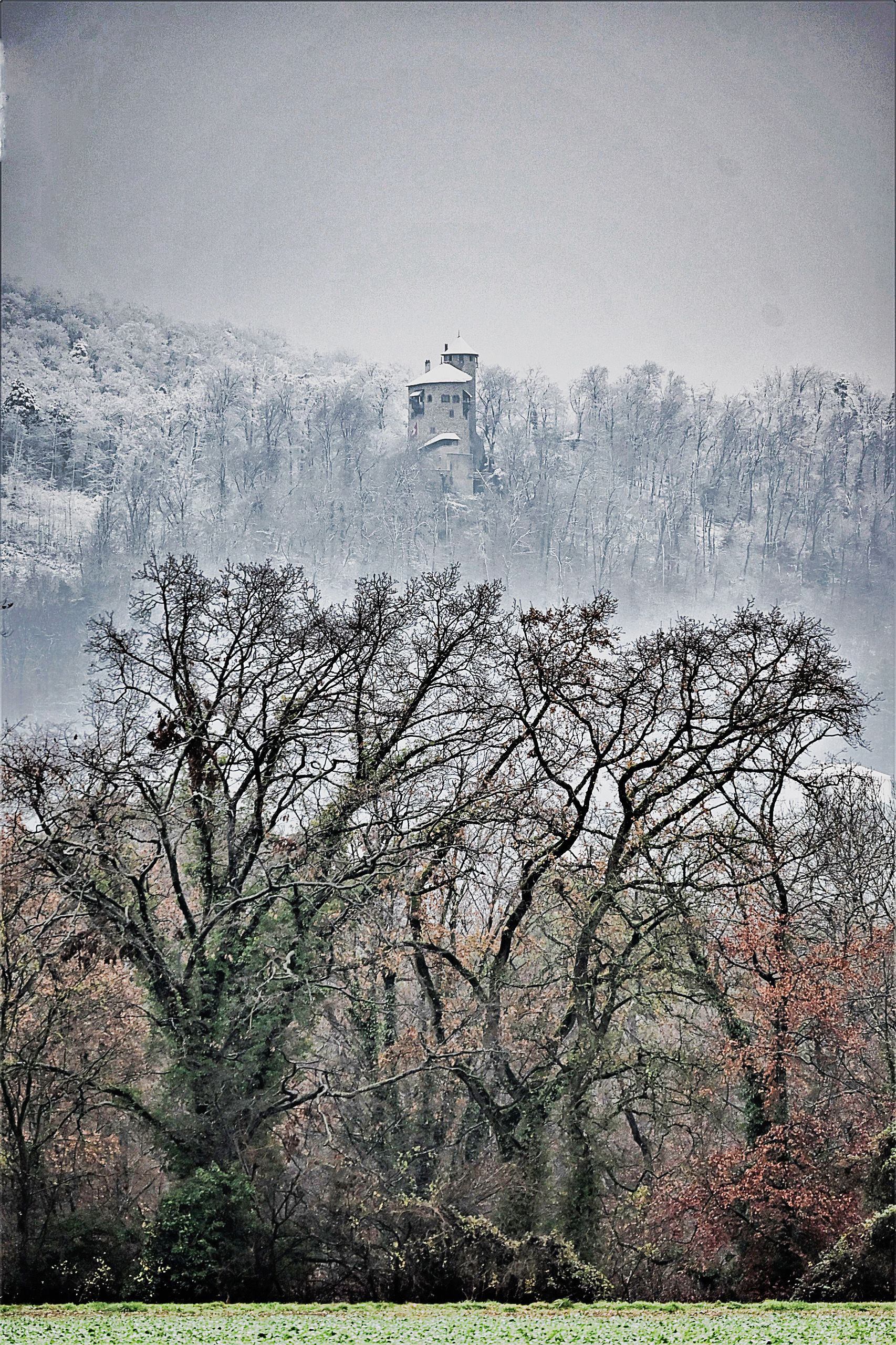 Leserfotos - Das Sind Die Schnappschüsse Der Leserinnen Und Leser Im ...