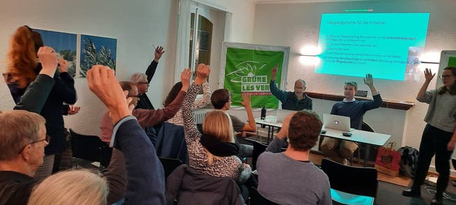 Die Solothurner Grünen sagen einstimmig Ja zur Pflegeinitiative.