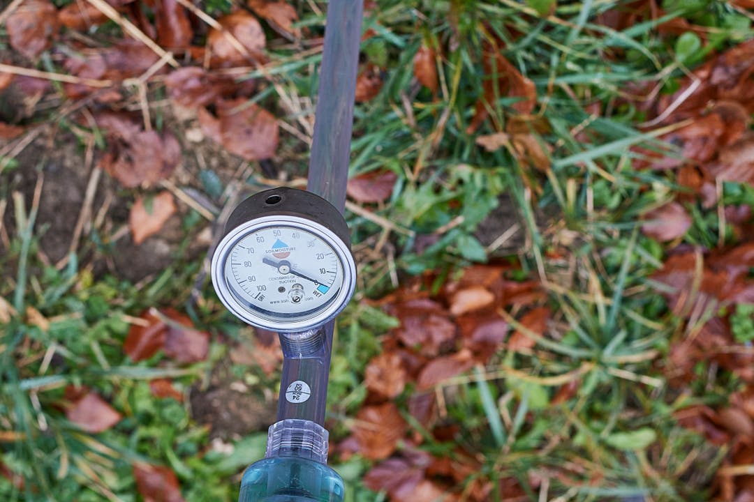 Tensiometer messen die Bodenfeuchtigkeit und die Saugspannung des Untergrunds.