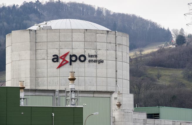 Kritiker befürchten, dass die Schweizer Energieversorgung an ausländische Investoren gelangt. (Symbolbild)