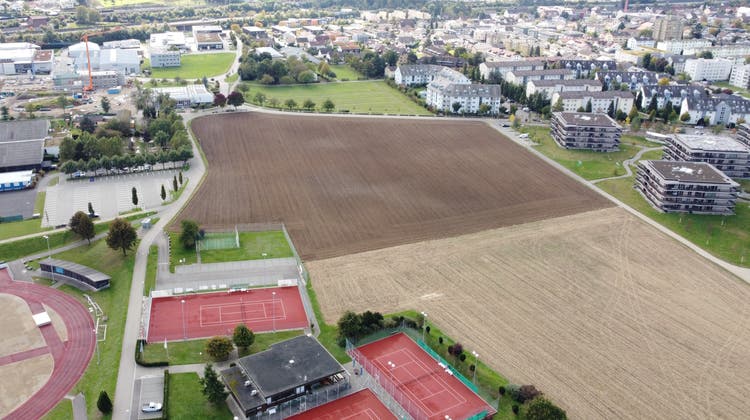 Das Areal, auf dem die Mittelschule Fricktal errichtet wird, wird heute landwirtschaftlich genutzt. (Zvg / Aargauer Zeitung)
