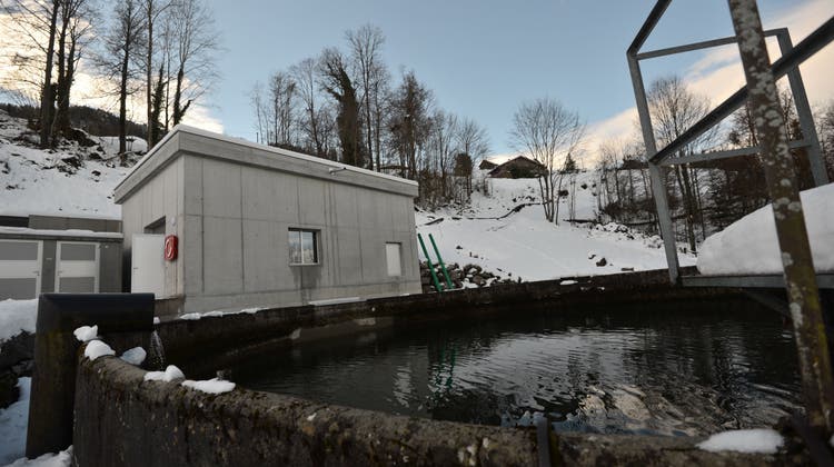 Das neue Kleinwasserkraftwerk Napf mit dem Ausgleichsbecken, das bereits 1902 erbaut wurde. (Bild: Urs Hanhart (Beckenried, 1. Dezember 2021))
