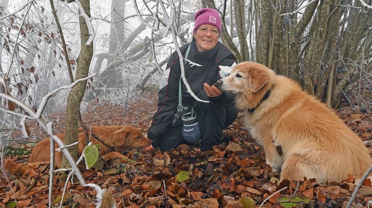 Seit zehn Jahren ist Sibylle Aschwanden auf Trüffelsuche im Niederamt. Hier mit ihren Hunden Chai (rechts) und Bailey (links). (Bruno Kissling)