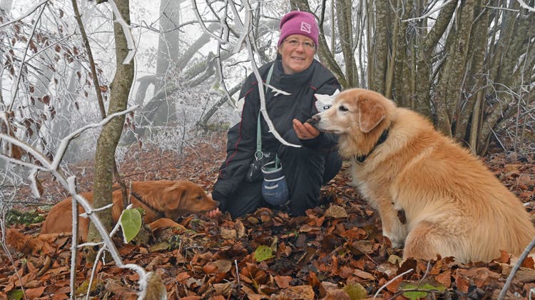 Seit zehn Jahren ist Sibylle Aschwanden auf Trüffelsuche im Niederamt. Hier mit ihren Hunden Chai (rechts) und Bailey (links). (Bruno Kissling)