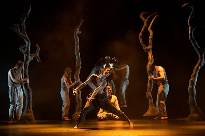 Tranceartige Bewegungen mit kraftvoller Energie: Szene aus der Choreografie «Umoya» des Südafrikaners Mthuthuzeli November.