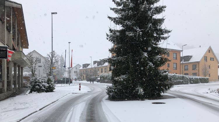 Staufen: Der Weihnachtsbaum ist zu gross, die Busse kommen nicht mehr durch. (Bild: Florian Wicki)