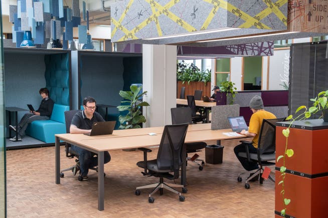 Bürofläche gemeinsam nutzen: im Bild der Co-Working-Space 6280.ch in Hochdorf.