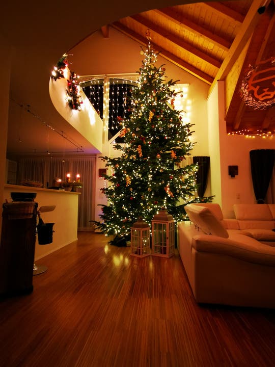 Im knapp acht Meter hohen Wohnzimmer würde ein kleinerer Tannenbaum untergehen, findet der Besitzer.
